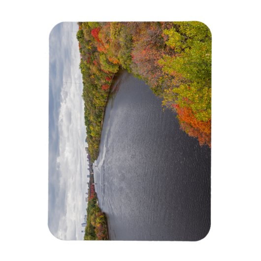 mississippi rivier en beboste banken in minneapoli magneet (Verticaal)