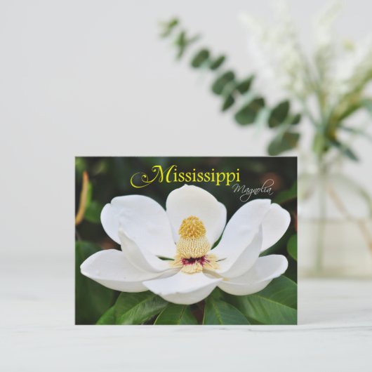 Mississippi State Flower: Magnolia Briefkaart (Staand voorkant)