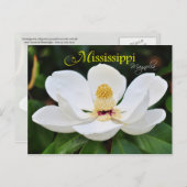 Mississippi State Flower: Magnolia Briefkaart (Voorkant / Achterkant)