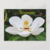 Mississippi State Flower: Magnolia Briefkaart (Voorkant)
