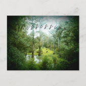 Mississippi Swamp - Briefkaart (Voorkant)