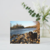 Mississppi rivier - Good Morning Briefkaart (Staand voorkant)