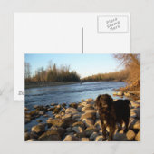 Mississppi rivier - Good Morning Briefkaart (Voorkant / Achterkant)