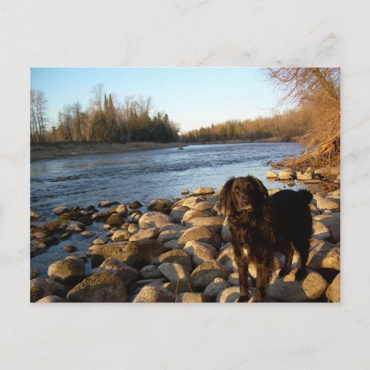 Mississppi rivier - Good Morning Briefkaart (Voorkant)