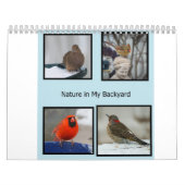 Missouri Backyard Birds Kalender (Hoes)