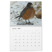 Missouri Backyard Birds Kalender (Jan 2027)