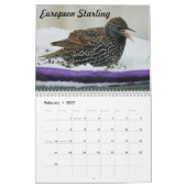 Missouri Backyard Birds Kalender (Feb 2027)