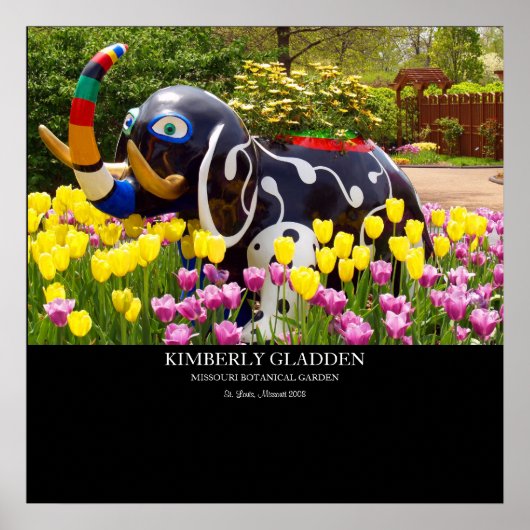 MISSOURI BOTANICAL GARDEN POSTER (Voorkant)