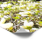 Missouri Botanical Garden Poster (Hoek)