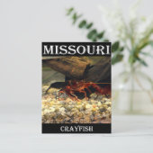 Missouri Crawfish Briefkaart (Staand voorkant)