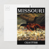 Missouri Crawfish Briefkaart (Voorkant / Achterkant)