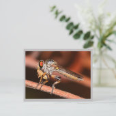 Missouri Damselfly. Briefkaart (Staand voorkant)