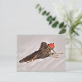 Missouri Dance Fly. Briefkaart (Staand voorkant)
