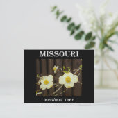 Missouri Dogwood Briefkaart (Staand voorkant)