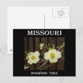 Missouri Dogwood Briefkaart (Voorkant / Achterkant)