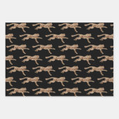 MISSOURI INPAKPAPIER VEL (Voorkant)