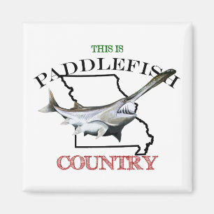 Missouri is Paddlefish Land Magneet