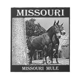 Missouri Mule Notitieblok