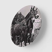 Missouri Mule Ronde Klok (Hoek)