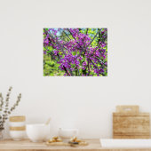 Missouri Redbud Bloeiende Boom Foto Poster (Keuken)