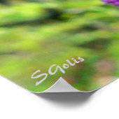 Missouri Redbud Bloeiende Boom Foto Poster (Hoek)