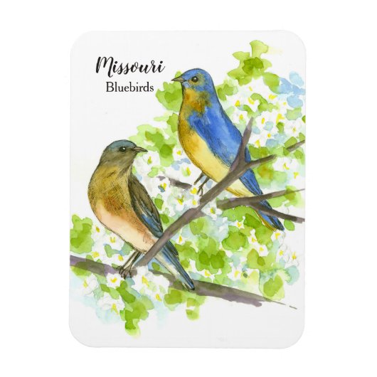 Missouri Souvenir Bluebirds Hawthorn Tree Magneet (Verticaal)