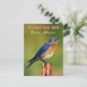 Missouri State Bird - Eastern Bluebird Briefkaart (Staand voorkant)
