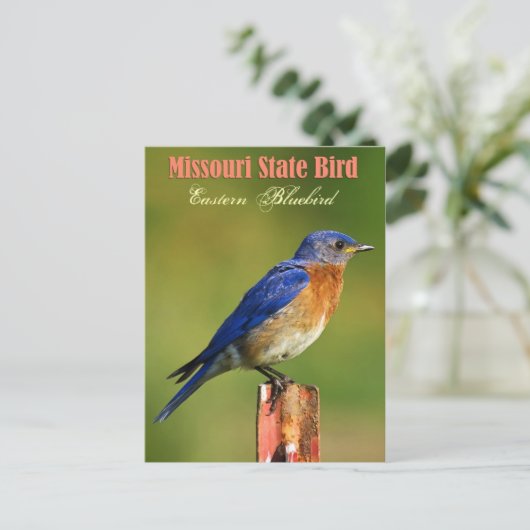 Missouri State Bird - Eastern Bluebird Briefkaart (Staand voorkant)