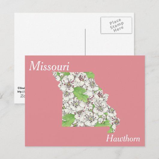 Missouri State Flower Collage Map Briefkaart (Voorkant / Achterkant)