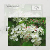 Missouri State Flower: Hawthorn Briefkaart (Voorkant / Achterkant)