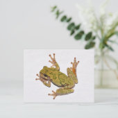 Missouri Tree Frog. Briefkaart (Staand voorkant)