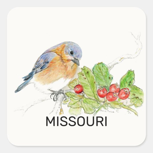 Missouri-vogel en -bloem vierkante sticker (Voorkant)