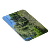 Missouri Weeping Willow op Pond Magneet (Rechterzijde)