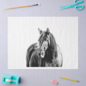 Missouri Wild Horse Tissuepapier (Craft)