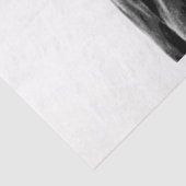 Missouri Wild Horse Tissuepapier (Detail)