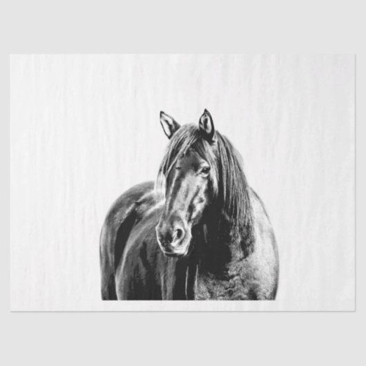 Missouri Wild Horse Tissuepapier (Voorkant)