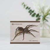 Missouri Wolf Spider met eierzak. Briefkaart (Staand voorkant)