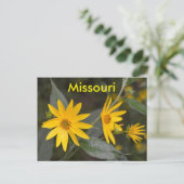 Missouri Yellow Wildbloemen Briefkaart (Staand voorkant)