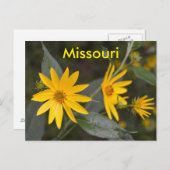 Missouri Yellow Wildbloemen Briefkaart (Voorkant / Achterkant)