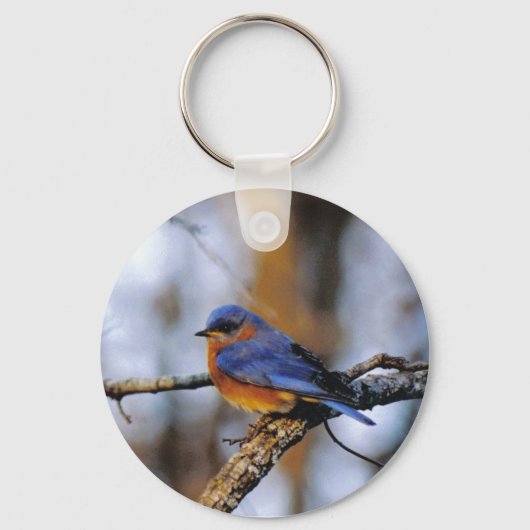 Missouris Bird key chain Sleutelhanger (Voorkant)