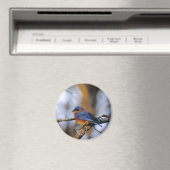 Missouris Bird Magneet (Insitu (Vaatwasser))
