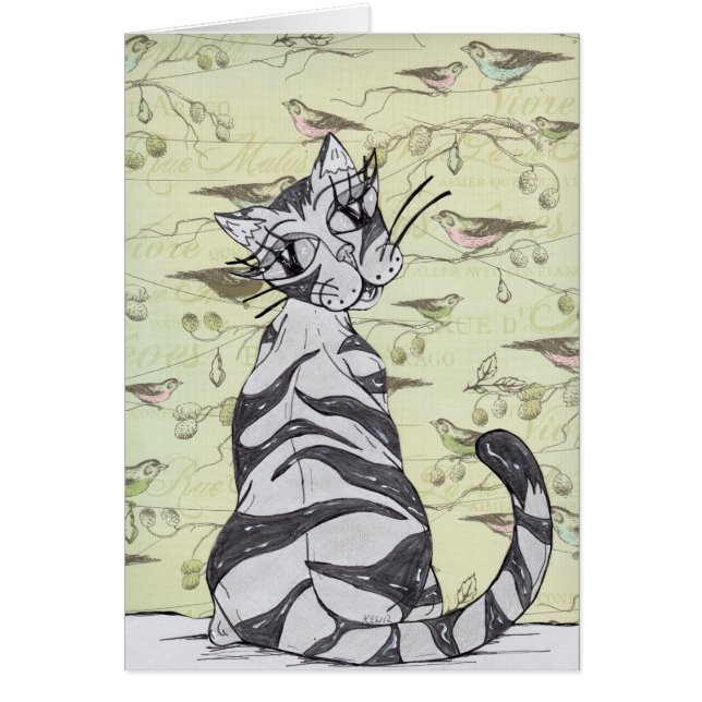 Missy Cat 01 (Voorkant)