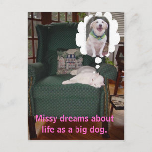 Missy droomt over het leven als een grote hond. briefkaart