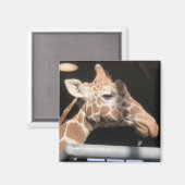 Missy Magnet #1 (Voorkant / Achterkant)