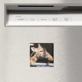 Missy Magnet #1 (Insitu (Vaatwasser))