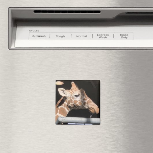 Missy Magnet #1 (Insitu (Vaatwasser))