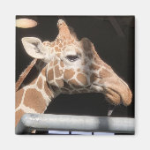 Missy Magnet #1 (Voorkant)