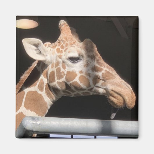 Missy Magnet #1 (Voorkant)