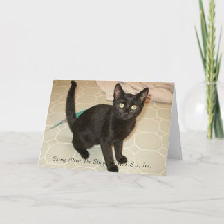 Missy Notecards Kaart