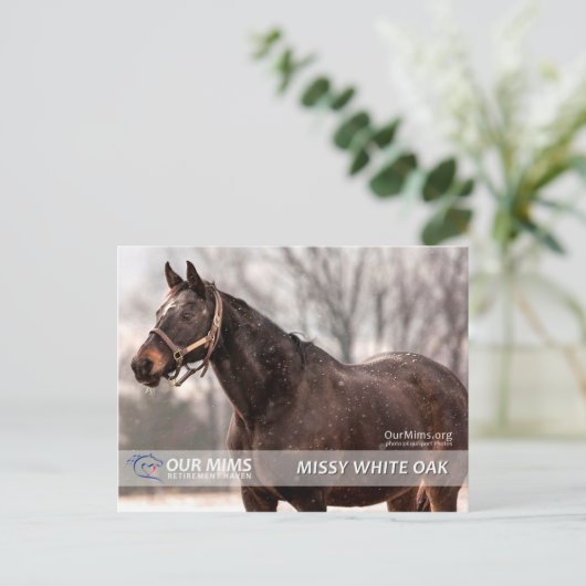 Missy White Oak briefkaart (Staand voorkant)